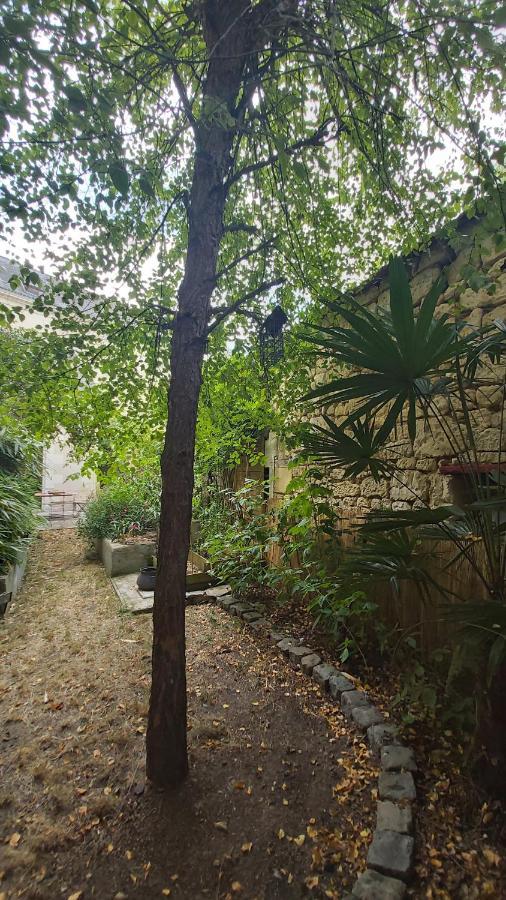 La Maison De Louise Chinon #Chateaux #Vignobles Zewnętrze zdjęcie